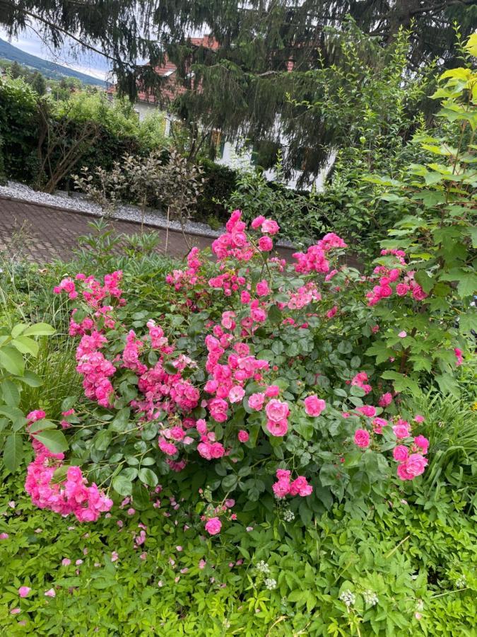 Freiblick 1 Bad Glbg Mit Garten Top1 Bad Gleichenberg Exterior photo